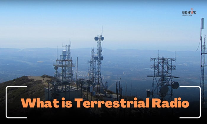 what is terrestrial radio